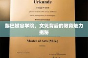 黎巴嫩谷学院，探寻文凭背后的独特教育风采