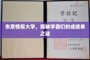 解码东京情报大学学霸秘籍，揭秘不为人知的成绩奥秘