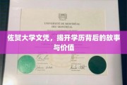 佐贺大学文凭，探寻学历背后的传奇与深层价值
