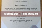 解锁留学新境界，伦敦学院文凭引领潮流
