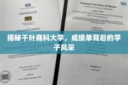 探寻千叶商科大学学子成绩单背后的精彩人生