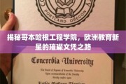 解码哥本哈根工程学院，欧洲教育新星的非凡文凭传奇