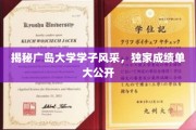 广岛大学精英风采大揭秘，独家成绩单曝光，一睹学子卓越风采