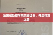 威勒商学院荣耀证书，解锁精英教育的金色钥匙