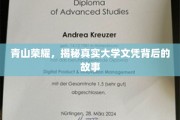 学历光环背后的真实历程，揭秘大学文凭背后的不为人知故事