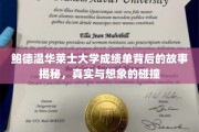 鲍德温华莱士大学成绩单之谜，揭开真实与虚构的交织面纱
