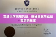 雪城大学毕业证背后的传奇，一纸荣耀凭证的诞生之谜
