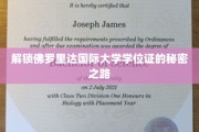 佛罗里达国际大学学位证背后的神秘探索之旅