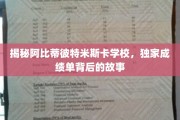 解码阿比蒂彼特米斯卡学园，揭秘非凡成绩背后的传奇旅程