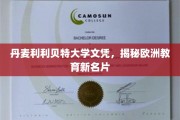欧洲教育新宠，揭秘丹麦利利贝特大学的独特魅力