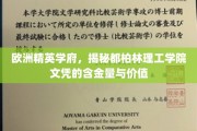 解码爱尔兰顶级学府，都柏林理工学院文凭的全球认可与价值揭秘