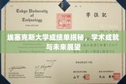 埃塞克斯大学成绩单背后的故事，揭秘学术成就与无限可能