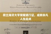 解锁荷兰海牙大学荣耀之门，开启非凡人生新篇章