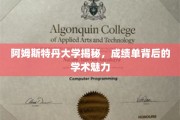 阿姆斯特丹大学揭秘，成绩单下的学术风采与独特魅力