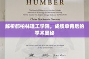 揭秘都柏林理工学院，成绩单背后隐藏的学术魅力