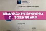 石溪分校荣耀揭秘，学位证书背后的传奇历程