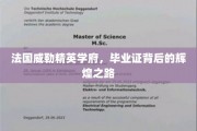 探寻法国威勒精英学府，毕业证背后的荣耀足迹
