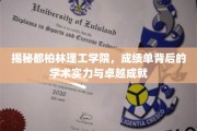 探寻都柏林理工学院，揭秘学术巅峰背后的实力与荣耀