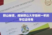 山野学府传奇，群山大学学位证背后的神秘魅力