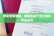 南安普顿荣耀，揭秘真金不怕火炼的毕业证书