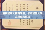 探索卡尔加里大学，精英教育之光，国际文凭的璀璨价值