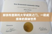 揭开布里斯托辉煌篇章，探索学子成就单背后的故事
