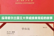 揭开爱尔兰国立大学成绩单的秘密面纱