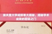 埃夫里大学成绩单背后的学术秘码解读，开启卓越成就之门