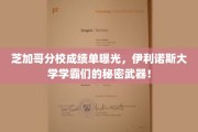 揭秘伊利诺斯大学学霸圈，芝加哥分校成绩单背后的独门秘籍！
