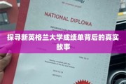 解码新英格兰大学成绩单，揭开学术成就的神秘面纱