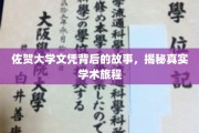 佐贺大学文凭背后的传奇，一场真实的学术征途揭秘