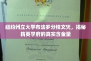 纽约州立大学布法罗分校文凭背后的实力与价值，一场深度解析
