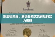 解码斯坦福传奇，揭秘世界名校背后的卓越实力