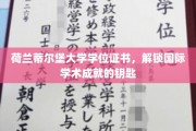 荷兰蒂尔堡大学学位证书，解锁国际学术成就的钥匙
