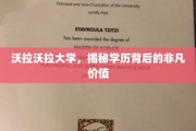 解码沃拉沃拉，探索学历的无尽潜能
