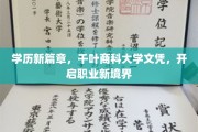 千叶商科新文凭引领，解锁职场升级新篇章