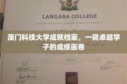 澳门科技大学精英风采，揭秘学子的卓越成就之旅