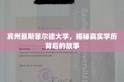 探寻宾州曼斯菲尔德大学，学历背后的不为人知篇章