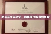 尼皮辛文凭探秘，解码未来教育新风向