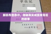 布鲁奈尔成绩单之谜，探寻背后的非凡轨迹