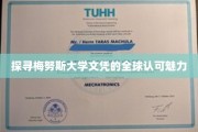 国际视野下的梅努斯大学文凭吸引力解析