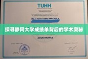 解码静冈大学成绩单，揭秘学术成就的神秘面纱
