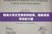 明海文凭之谜，一纸学历背后的非凡力量与真实故事