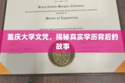釜庆大学学历之谜，揭开背后的不凡传奇