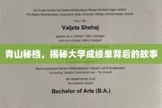 成绩单背后，揭开大学生活的秘密面纱