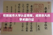 解锁学术巅峰，伦敦城市大学认证，成就全球通行非凡之旅