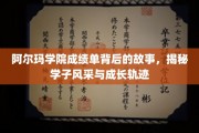 阿尔玛学子风采，揭开成绩单背后的成长传奇