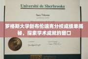 罗格斯大学新布伦瑞克分校成绩单揭秘，探索学术成就的窗口
