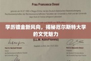 厄尔斯特大学文凭新热度，学历镀金新趋势探秘