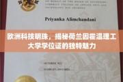荷兰因霍温理工，学位证书中的欧洲科技瑰宝